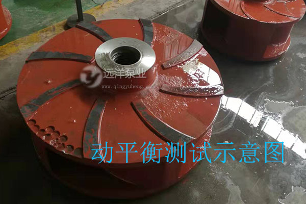 遠(yuǎn)洋泵業(yè)葉輪動平衡樣圖